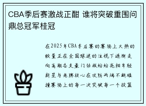 CBA季后赛激战正酣 谁将突破重围问鼎总冠军桂冠